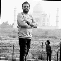 Salman Abdul Aziz Ansari