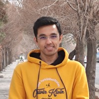 Hesam Damghanian
