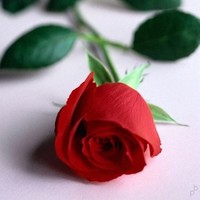 Revathi Moorthi