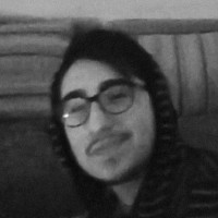 Nicolás Lagos Watkins