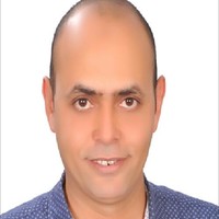 Mohamed Fawzi
