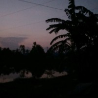 Nipun Roy