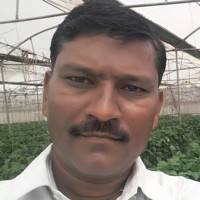 Laxman Gund