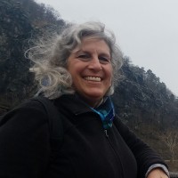 Lynne Stearman Falick
