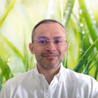 Mauricio Romero Torres