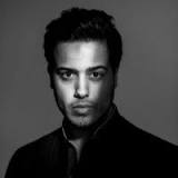 Mohamed N Hayel Saeed