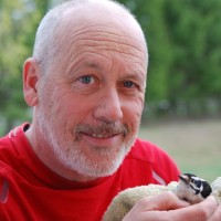 Stephen Laird