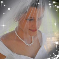 Danette Warren