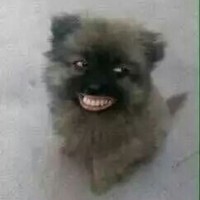 姜丽丽