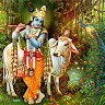 Nagaraja Bayari