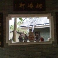 黃熱花