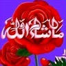 Md Selim