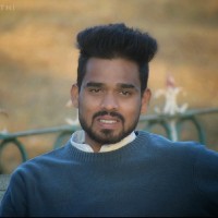 Parthasarathi S