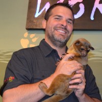 Todd Boerner