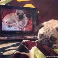 李长健
