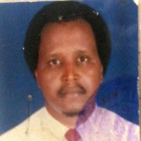 bashir ali