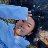 Kim Ngân Lý