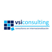 Vsi Consulting