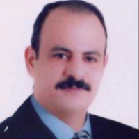 Osama El Fayed