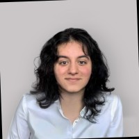 Sahar Fathi