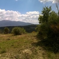 Stavroula Dimopoulou