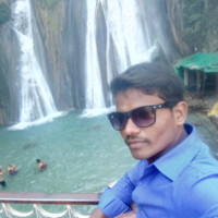Krishna Pujer