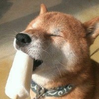 王章锦