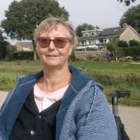 Fokje de Vries