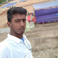 Bunny Harish
