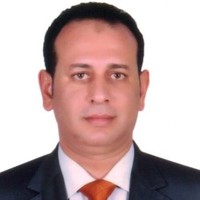Ahmad M. Sharawy Bassiouni