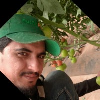 Zakaria Bouddahr