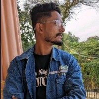 Vimal Meena