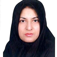 S Ansari