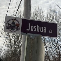 Joshua Tre Van