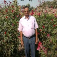 Ramji Maurya