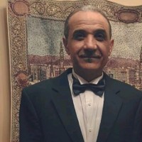 Hisham Bonna