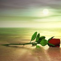 Abouanwar Moullblad_Lahcen