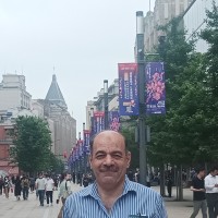 Mohsin Mir