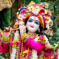 Ashish Malaviya