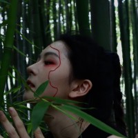 Xiaoxu Lu