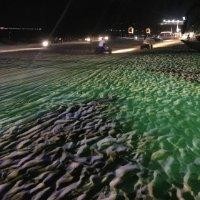 陈锐斌