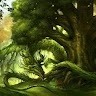 Kind_Tree Tree
