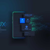 UI/UX Designer