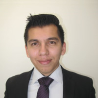 Luis Alejandro Flores Flores
