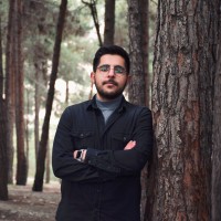 Mohammad Hadi Momeni