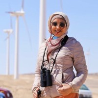 Manal abd elwahab