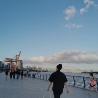 范德发