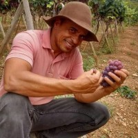 José Evangélio Santos (Tancredo)