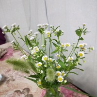 钱桦玲