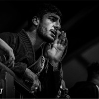 Sahand Shokohi